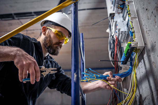 Best Licensed Electrician  in Edwardsvle, IL