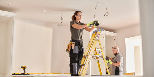Best Local Electrician Companies  in Edwardsvle, IL