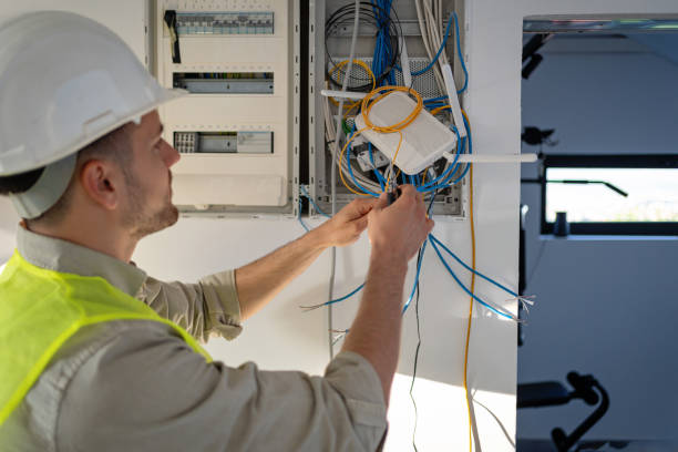 Best Electric Panel Repair  in Edwardsvle, IL